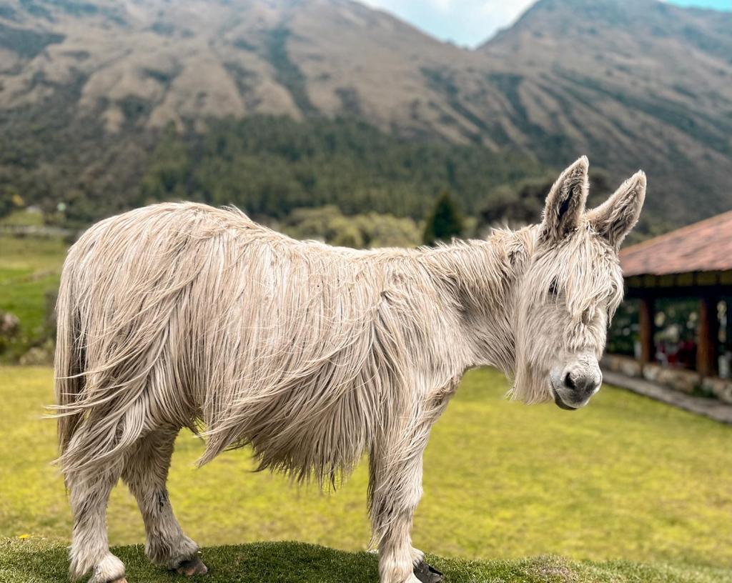 Hacienda Hosteria Dos Chorreras Cuenca Exteriér fotografie